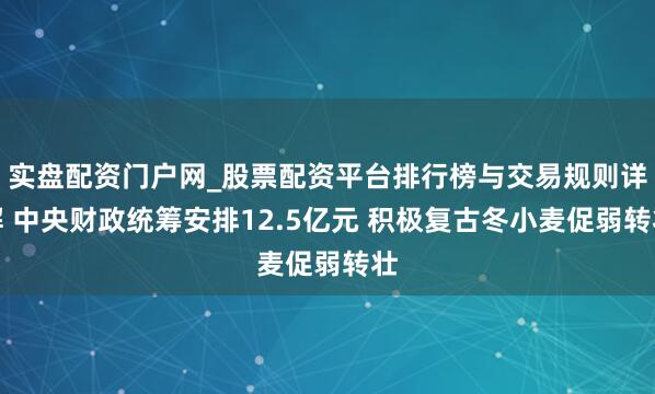实盘配资门户网_股票配资平台排行榜与交易规则详解 中央财政统筹安排12.5亿元 积极复古冬小麦促弱转壮