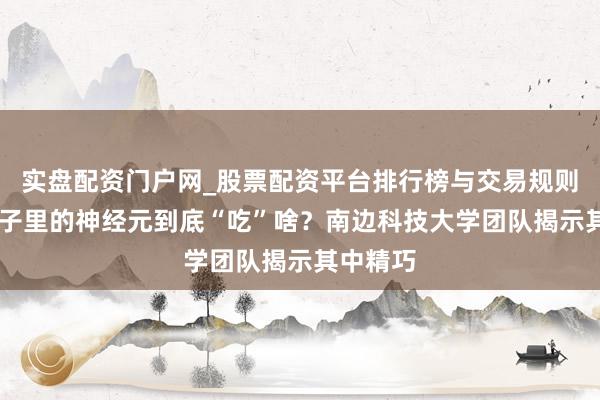 实盘配资门户网_股票配资平台排行榜与交易规则详解 脑子里的神经元到底“吃”啥？南边科技大学团队揭示其中精巧
